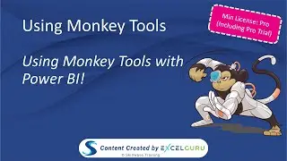 Using Monkey Tools - What Monkey Tools Features Work With Power BI?