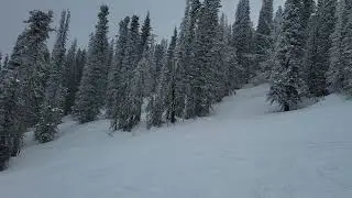 Meadow Bowl Feb 28 Day 40