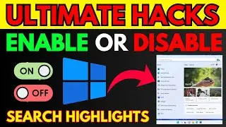 Show Search Highlights: How to Enable and Disable Show Search Highlights in Windows 11