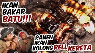 STONE-GRILLED FISH!!! Harvesting Fish Under the JAKARTA RAILWAY!!!