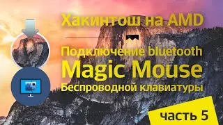 Хакинтош на AMD. Подключаем USB Bluetooth, Apple Magic Mouse и беспроводную клавиатуру Qilive.