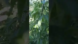 10 сентября 2024 г.