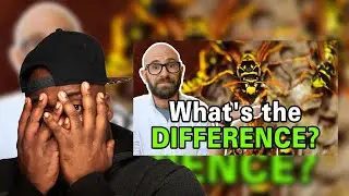What is the Difference Between Bees, Wasps, and Hornets?