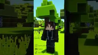 This friend who is way too organized on Minecraft