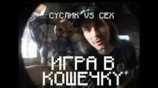 ИГРА В КОШЕЧКУ. Сех против Суслика.