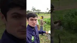 Identificando os pastos da fazenda.