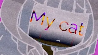 My cat |meme| (Irl story)