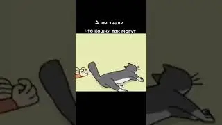 Кошки умеют, многое😂 (видео не моё) 