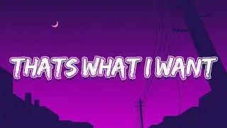 Lil Nas X - THATS WHAT I WANT (Lyrics)