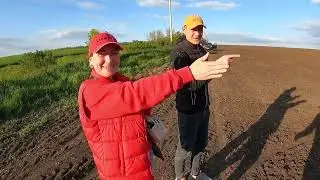 Посів ділянки гібретизації для ЕЛІТА СЕЛЕКТ