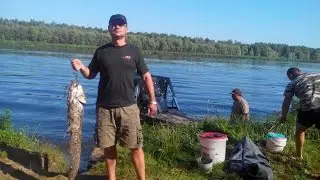 Днепровские плавни