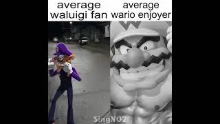 average waluigi fan vs average wario enjoyer
