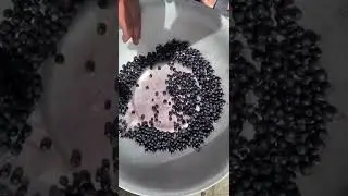 Как быстро очистить ягоды чернику от мусора!!!🍓🍓🍓