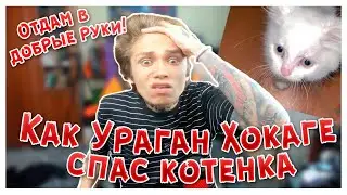 КАК УРАГАН ХОКАГЕ СПАС КОТЕНКА / НАШЕЛ ДОМ КОТЕНКУ // НАРЕЗКА СО СТРИМА