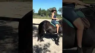 Riding Balanced Bitless & Bareback, Part II - mind-body awareness