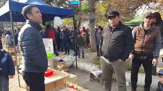 Ташкентский птичий рынок: Клетки 9.11.19 Tashkent bird market