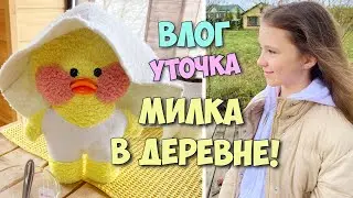 ☘️Жизнь в деревне с уточкой Милкой!🐥 Влог с уточкой Lalafanfan! Ксюша и Милка