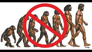The Hybrid Origins of Modern Man!
