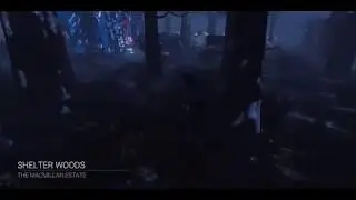 Rank1 killer experience