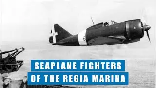 The Regia Marina's Surprisingly Good Seaplane Spotters & Fighters, 1910-1945