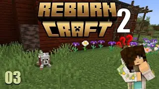 Minecraft Comes Alive Reborn Craft :: Season 2 Episode 3 :: Finding Bluey