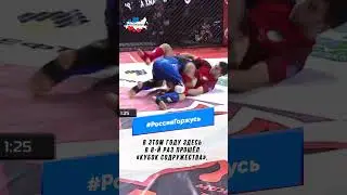 Сотрудничество в сфере развития ММА