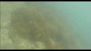 Пляж Сосновка