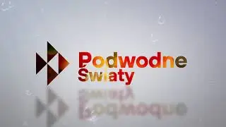 Zwiastun kanału Podwodne Światy Aqua Test