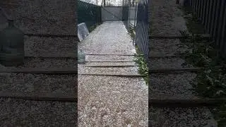 Летний отдых