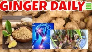 Valuable Health Benefits Of Ginger You Need To Know.