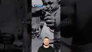 Чем занималась фирма Фреда? 