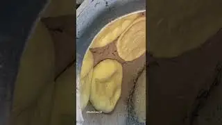 26 июня 2024 г.