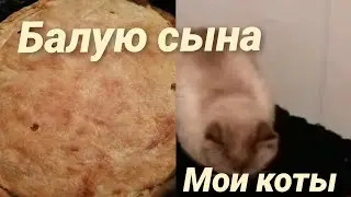 НЕ СПЛЮ ПО НОЧАМ /Я БАЛУЮ  СЫНА  ЛУковым пирогом  🥧