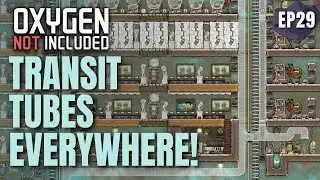 EFFICIENT BASE OPTIMIZATION | LP2-EP29 | ONI