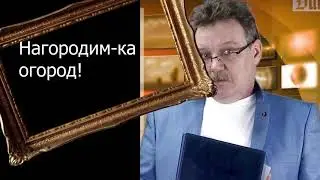 Супруга есть главный конкурент на лоджии!