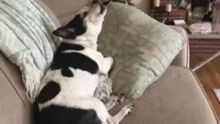 Rooooo