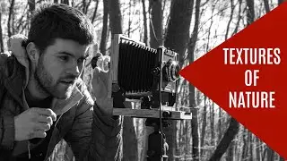 Analog Photography on Location | Nature = Textures Part 2 | Landscape Photography| Zebra Dry Plate