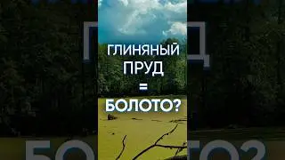 Почему глиняный пруды так быстро превращаются в болото? 
