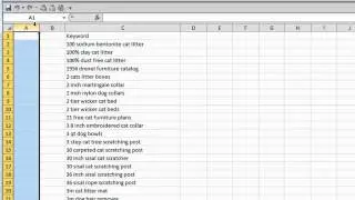 Advanced Adwords Editor Tutorials: Bulk Import Keywords