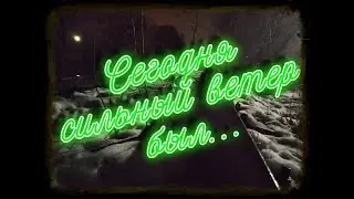 Стихотворение "Сегодня сильный ветер был..."