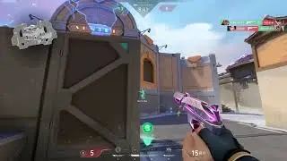 Ace Reyna en Team Deathmatch #2