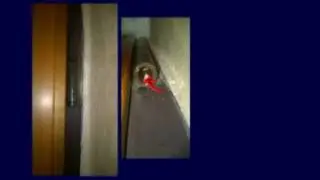 Come regolare  i cardini di una porta blindata