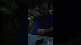 Инструкция по применению