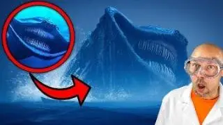 If you see this in the ocean RUN!