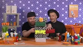 לאון ויואב די איי וואי- משחק ג'ונגה מקרטוני חלב!