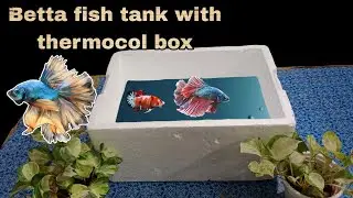 how to make a aquarium with thermocol box 🐟