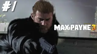 Chris Redfield as Max Payne - Max Payne 3
