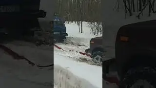 бродяга 3д