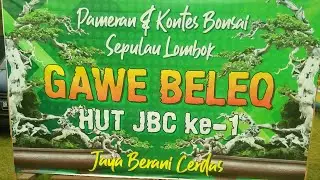 Pameran dan kontes bonsai Lombok - JBC