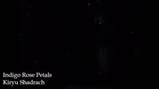 [SONG] Indigo Rose Petals